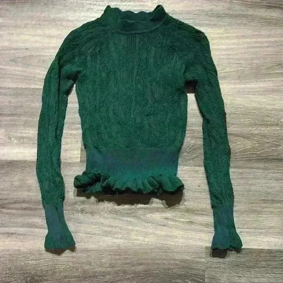 NWOT JOIE CAIRE SWEATER Posy Green Sz XXS Fits like Xs Very Stretchy - Picture 4 of 8